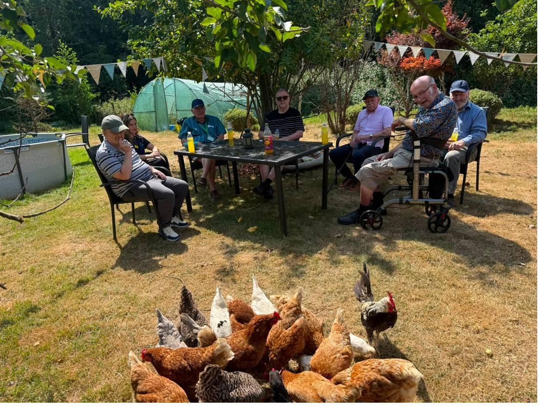 Guests sitting out in the garden under bunting while a flock of chickens comes over to the grass
