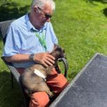 A gentleman making a fuss of a young goat in the garden