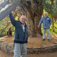 A gentleman throwing his arms up in delight beneath an enormous old yew tree